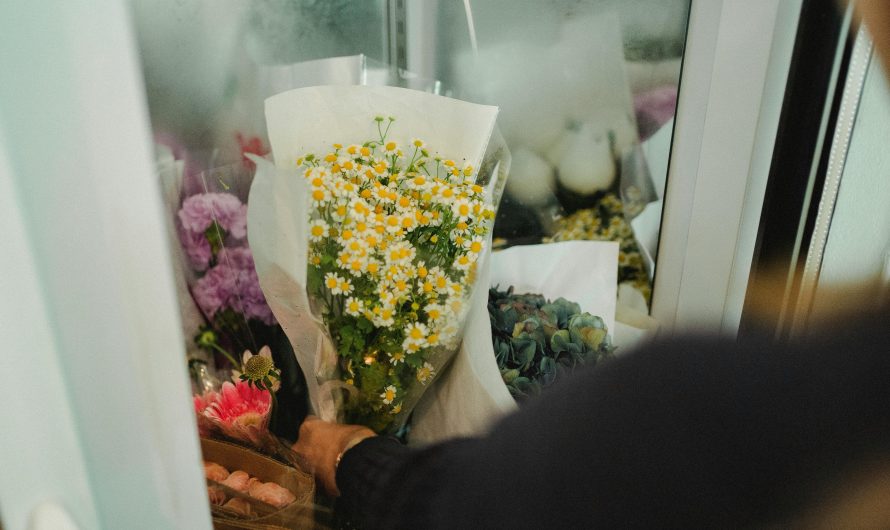 Установка и настройка сплит-систем для охлаждения продуктов в коммерческих холодильниках