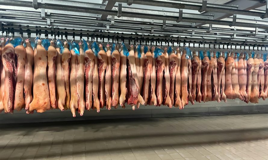 Установка холодильных кондиционеров для продуктов с длительным сроком хранения