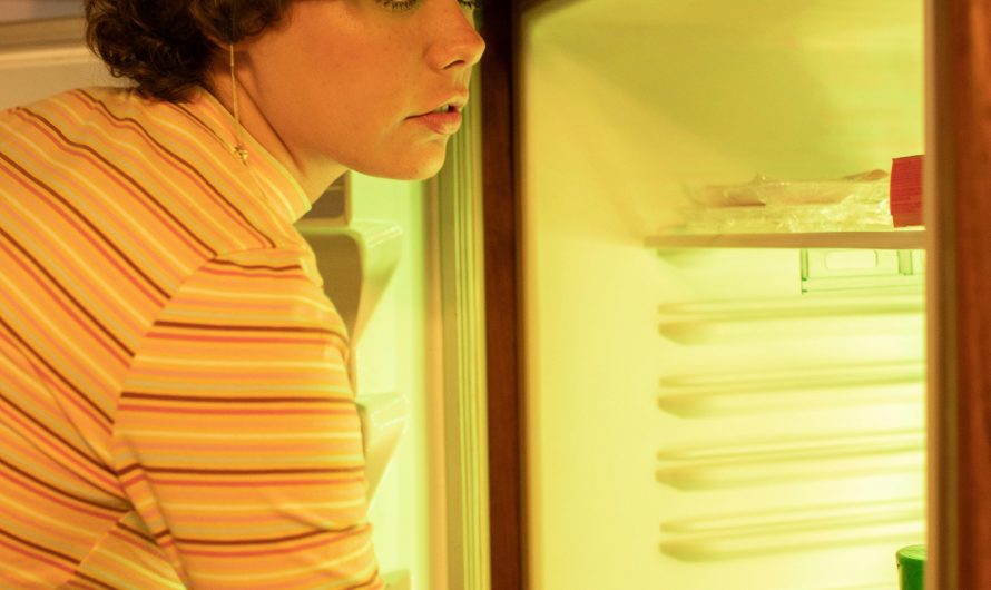 Сплит-системы для хранения замороженных продуктов в индустриальных объемах